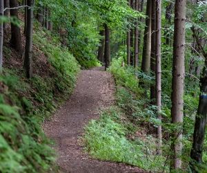 path to a hike