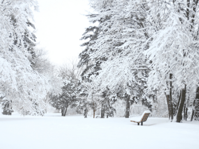 threes and snow